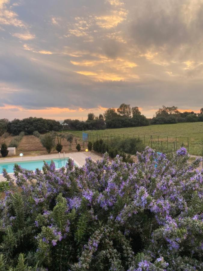 Casa Collis Apartman San Leone Kültér fotó