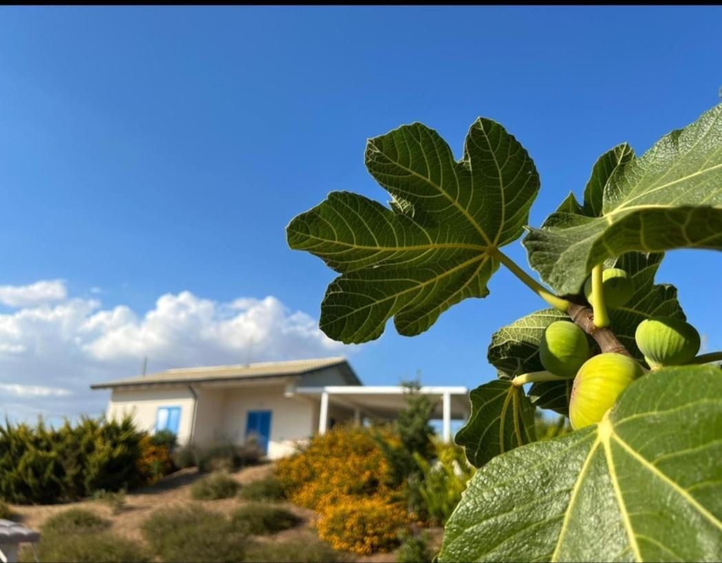 Casa Collis Apartman San Leone Kültér fotó